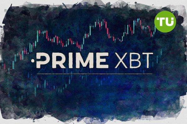 Understanding Your Account Options with PrimeXBT Forex Understanding Your Account Options with PrimeXBT Forex